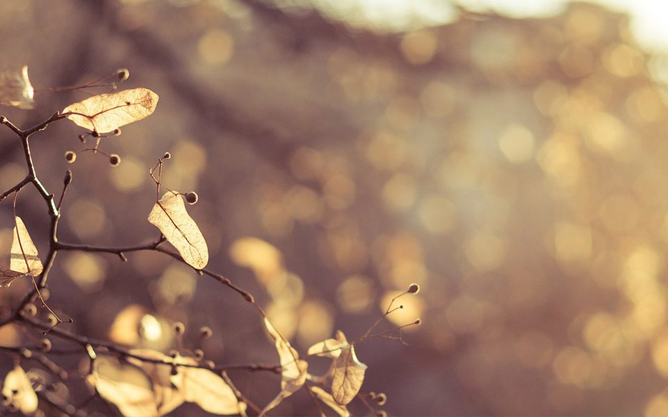 overlijden van een vennoot